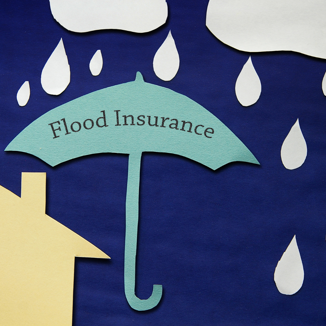 Understanding Flood Insurance 101: The Basics and Why You Need It