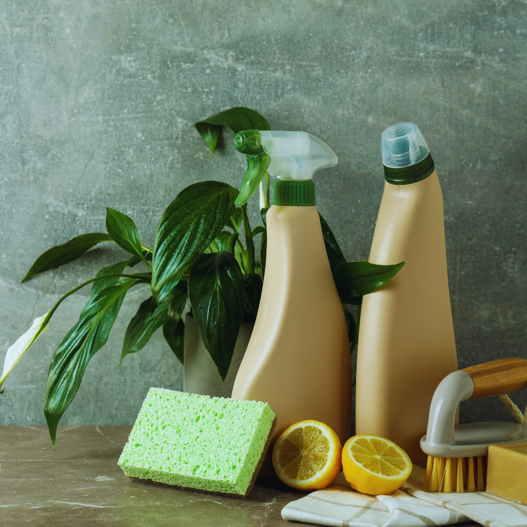 How Clean Living Supports Overall Wellness: The Benefits of a Healthy Lifestyle