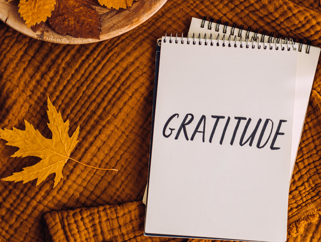 How to Feel Grateful for What You Own: Cultivating Appreciation in Daily Life