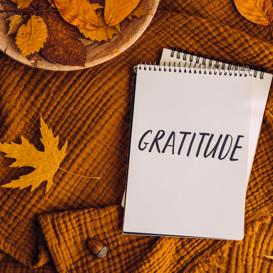 How to Feel Grateful for What You Own: Cultivating Appreciation in Daily Life